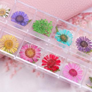 Miếng Dán Hoa Khô 3d Trang Trí Móng Tay