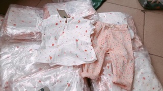Bộ zara đũi