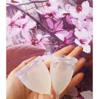 Cốc nguyệt san
