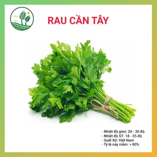 Hạt Giống Cần Tây Cao Sản - 5gr