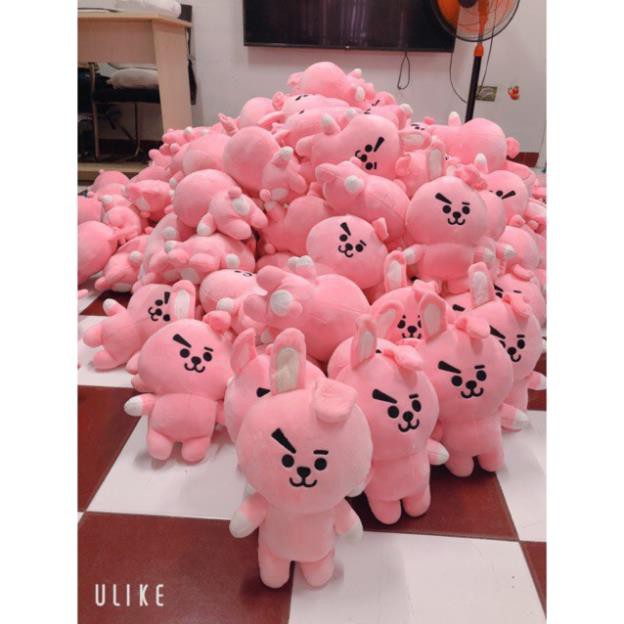 [XẢ KHO] Doll BTS gấu bông BT21 toàn thân loại xịn cao lên đến 40cm | Doll BT21