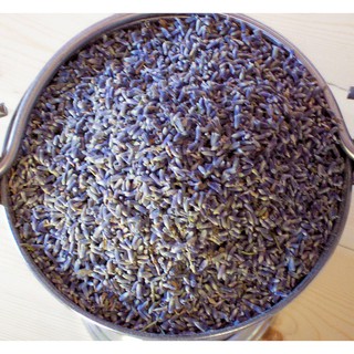 HOA LAVENDER KHÔ - 20G
