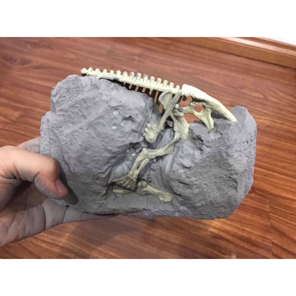 Bộ đầy đủ lắp ghép xương khủng long - Sáng tạo, tỉ mẩn - DIG A DINOSAUR SKELETON - Cùng làm nhà khảo cổ học