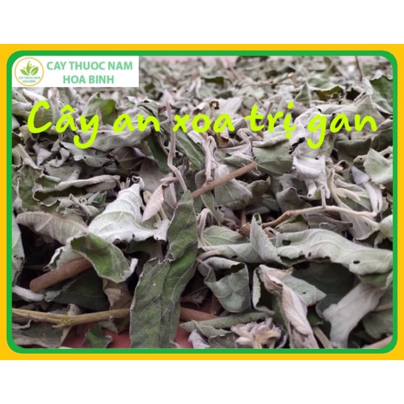 1kg cây an xoa khô sạch