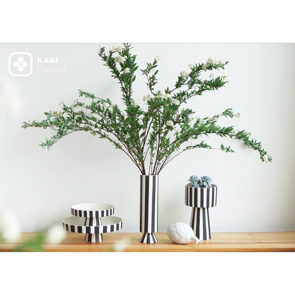 Chậu cây trồng sen đá, xương rồng - Chậu cây đẹp KAKI Concept