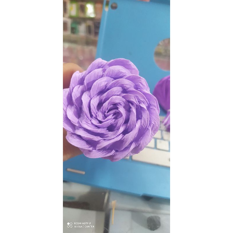 Sỉ đầu bông giấy nhún