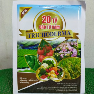 chế phẩm sinh học Trichodema 20 tỷ bào tử nấm-phòng chống nấm ,vi khuẩn , côn trùng gây hại - tăng sức đề kháng cho cây