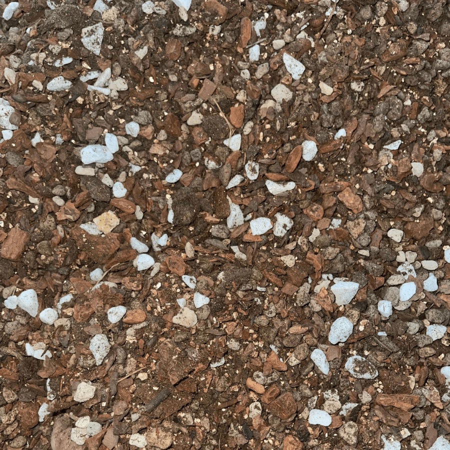 Rêu than bùn peatmoss, Peatman-đất trồng và ươm cây tốt nhất châu  Âu - túi 1kg
