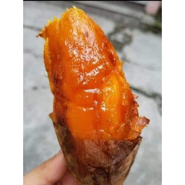 Combo 5kg khoai lang mật Đà Lạt