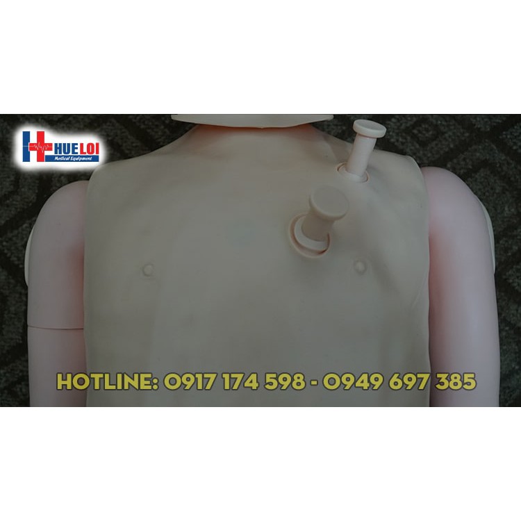 MÔ HÌNH CƠ THỂ NAM THỰC HÀNH ĐIỀU DƯỠNG CƠ BẢN