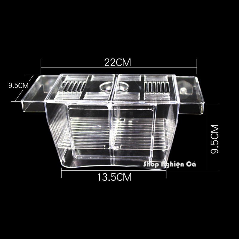 LỒNG DƯỠNG cá tép cách li cá nhiều ngăn