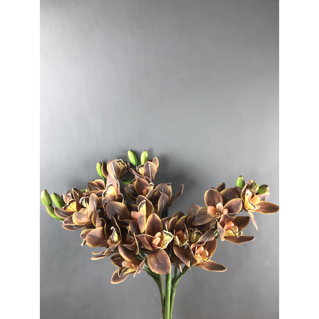 Cành địa lan màu nâu đất  - HC00055 -