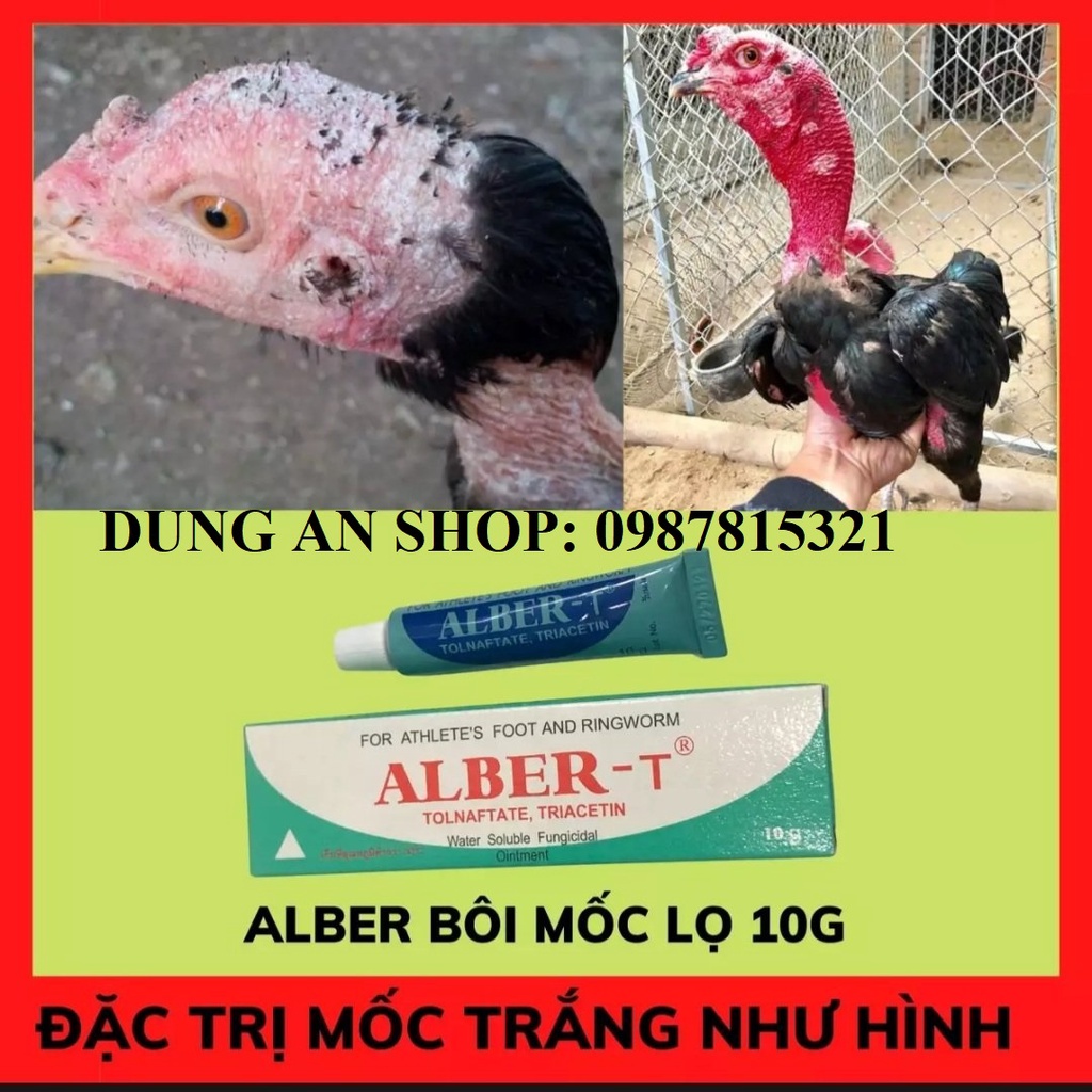ALBER – T: TRỊ NẤM, TRỊ MỐC, TRỊ LÁC CHO GÀ. THUỐC MỐC GÀ – MỐC BÔI CHO GÀ. DẠNG TUÝT BÔI.