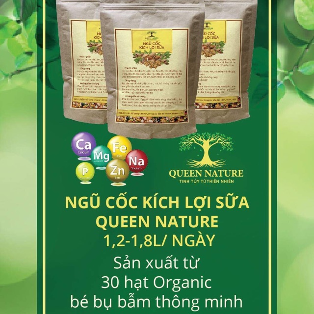 Bột ngũ cốc lợi sữa siêu dinh dưỡng QUEEN NATURE