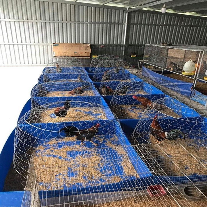 Lồng Nuôi Gà Chọi, Gà Tre ⚡ HÀNG ĐẸP⚡ Chuồng Gà Loại 1m x 1m x 1m Kèm Khay Nhựa