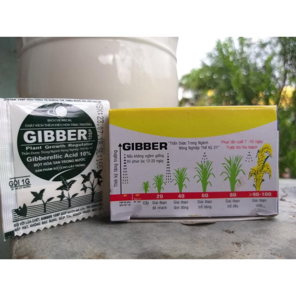 Phân Bón Lá GIBBER Kích Thích Tăng Trưởng