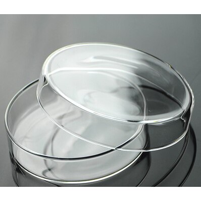 ĐĨA PETRI THỦY TINH 100X15-100X20 MM ĐỨC - ĐĨA THỦY TINH CẤY VI SINH - PETRI DISHES 100MM