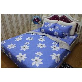 Bộ 1 ga chun + 2 vỏ gối poly cho đệm 1,6x2m