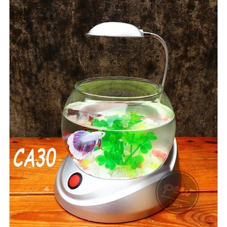 Bể cá để bàn có đèn + tặng kèm sỏi và cây