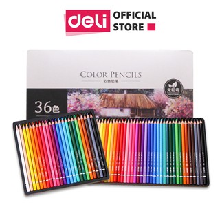 Bút chì màu gốc dầu cao cấp deli - 6565 / 6566 / 6567 / 6568