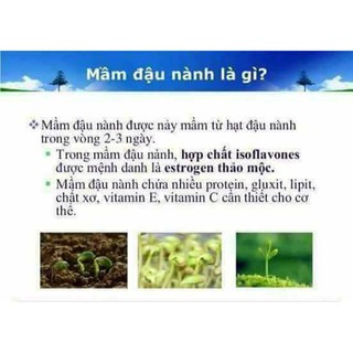 MẦM ĐẬU NÀNH MẸ KEN