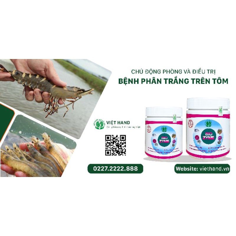 Men Vi Sinh-Phòng Trị Bệnh Phân Trắng Trên Tôm BIO ZYME VIETHAND hũ 250g