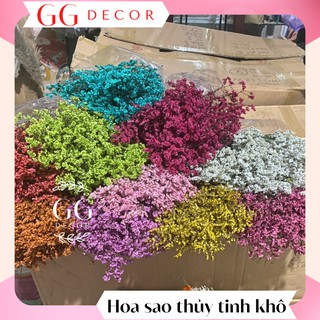 Hoa sao thuỷ tinh khô bó 100g 🔸 GIÁ SỐC 🔸 hoa sao trang trí nhà cửa, hoa cắm lọ, phụ kiện decor