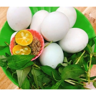 Trứng Vịt Lộn Vân Đình Khay 10 quảbao ngon