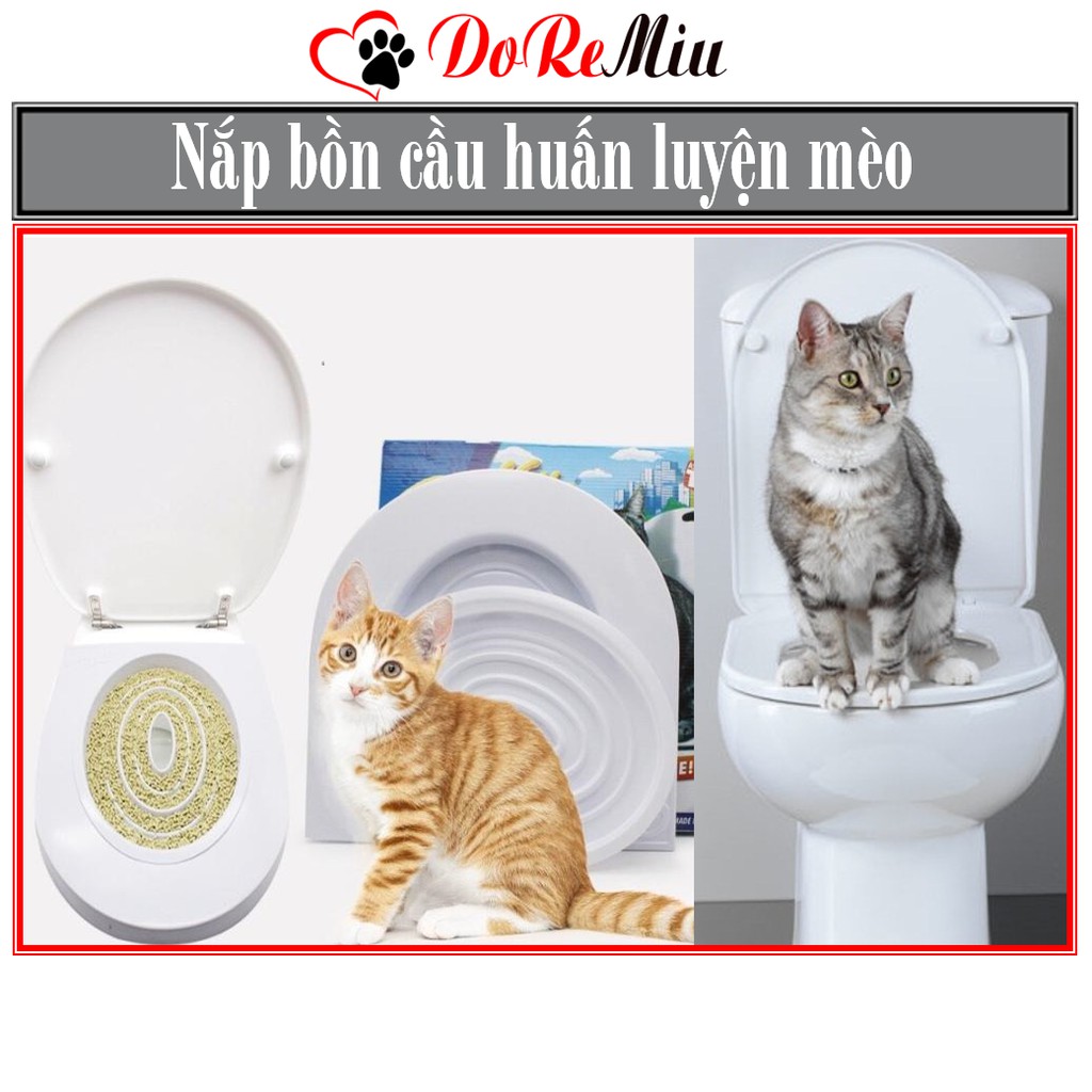 Doremiu- Nắp bồn cầu Citicity Tặng 1 gói Catnip- Bộ dạy mèo đi vệ sinh bồn cầu đúng chỗ (có hộp giấy)