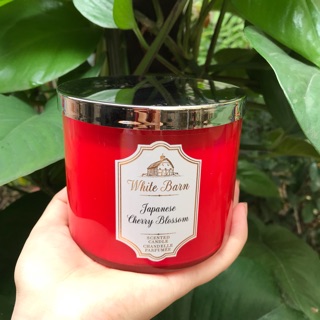 Nến Thơm Bath and Body Work mùi Japanese Cherry Blossom