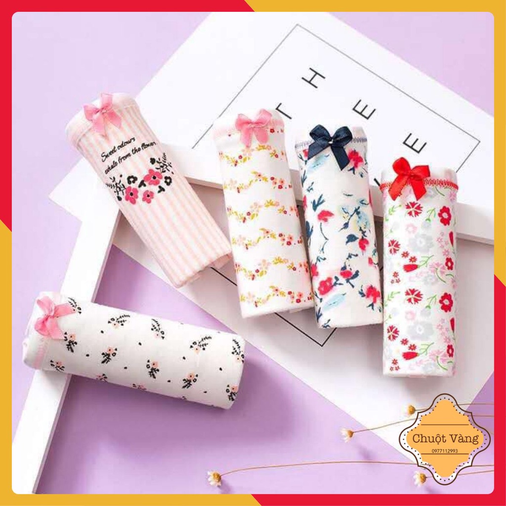 Set 5 quần lót cute túi zip