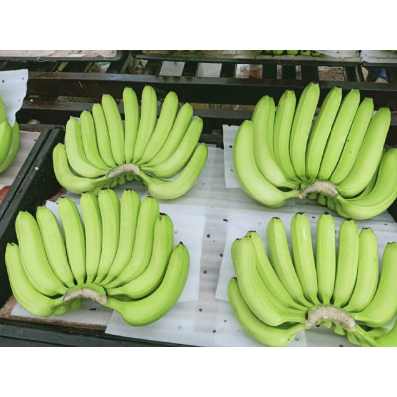 2Kg chuối già xanh
