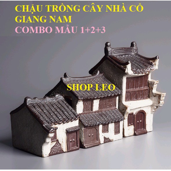 CHẬU TRỒNG CÂY NHÀ CỔ GIANG NAM - SET HỒ THỦY SINH - BÁN CẠN - TIỂU CẢNH