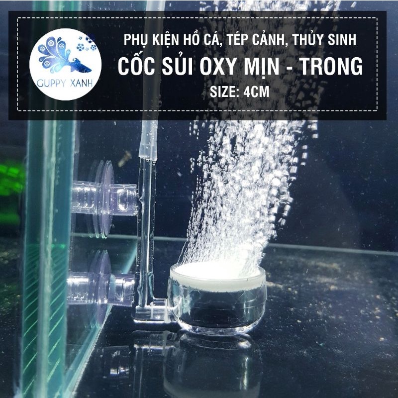 Cốc sủi oxy siêu mịn bằng thủy tinh