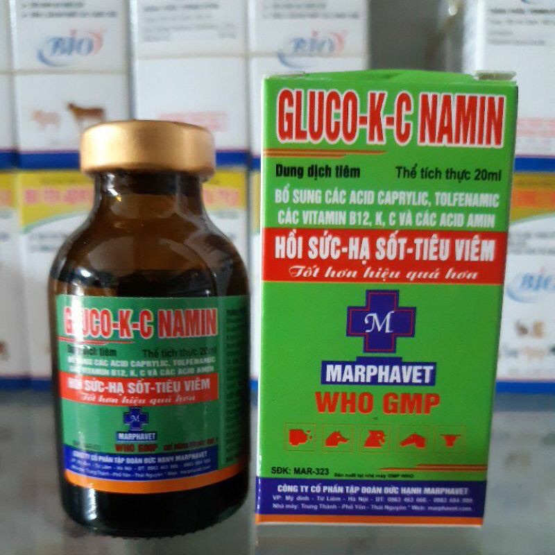 GLUCO K C NAMIN HỒI SỨC HẠ SỐT TIÊU VIÊM cho vật nuôi (20/100ml)