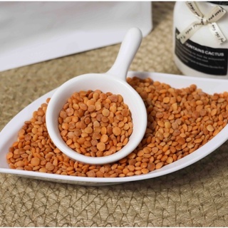 Đậu lăng đỏ sơ chế gói 450gram - Hạt dinh dưỡng Tini