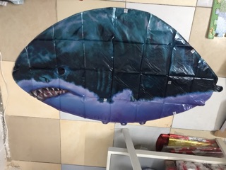 Cá bay điều khiển từ xa