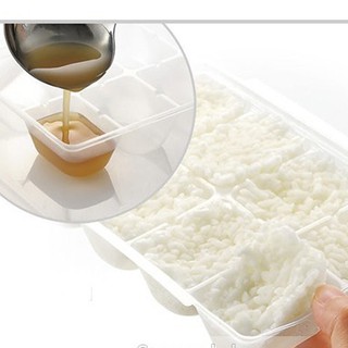 Khay trữ đông có nắp Richell - Bin&Beo