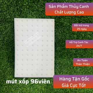 Xốp ươm thủy canh 96 viên, chuyên dùng trồng rau thủy canh