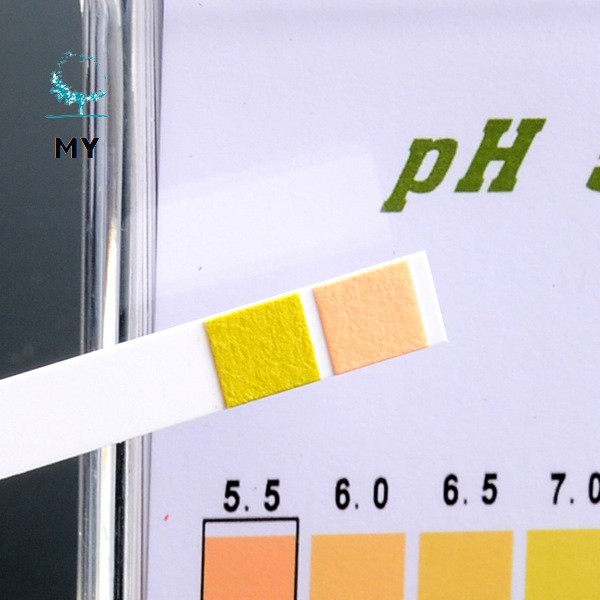 Set 100 dải kiểm tra độ pH