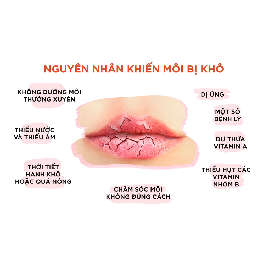 Son Dưỡng Môi DHC Lip Cream 1,5g - MIE SHOP