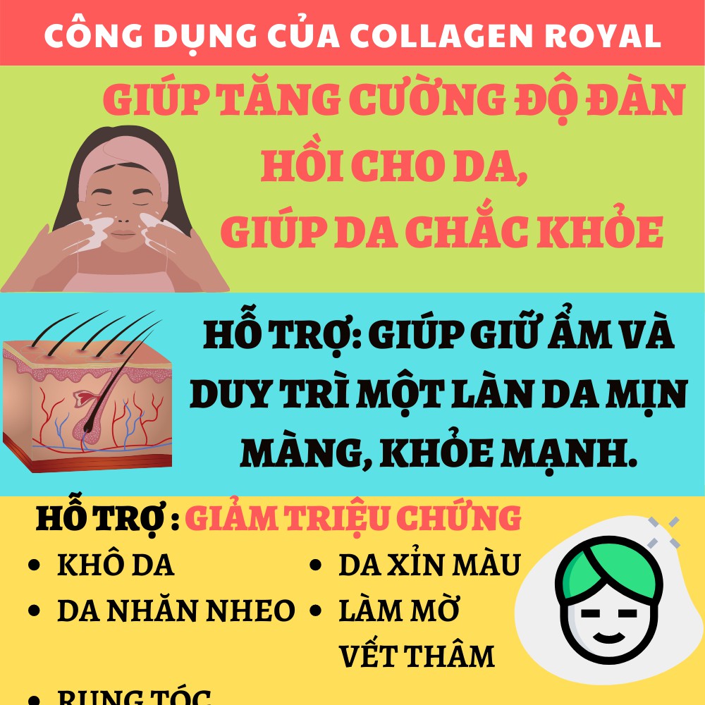 Collagen Royal Jelly - Ngăn ngừa quá trình lão hóa, Tăng cường độ đàn hồi cho da (Hộp 30 viên)