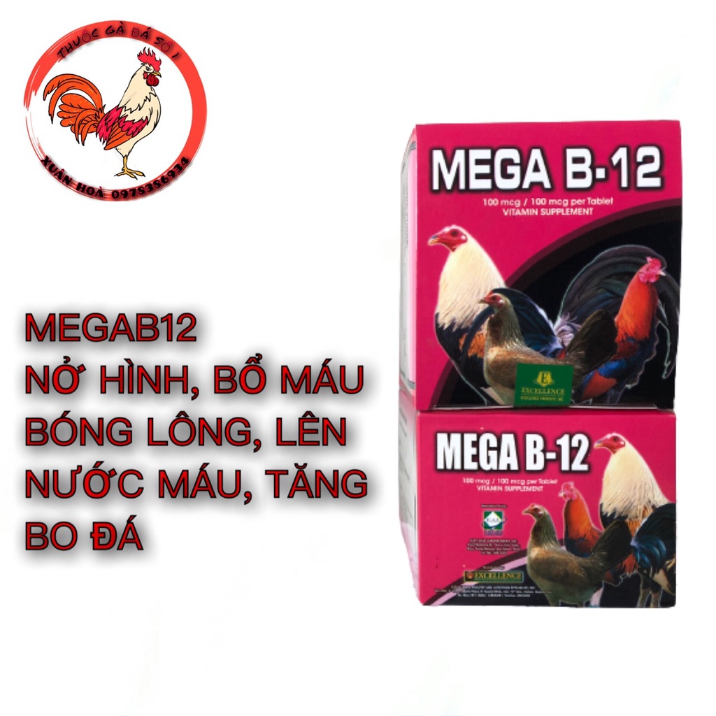 MegaB12 Nuôi Gà Đá Sung Căng Hừng