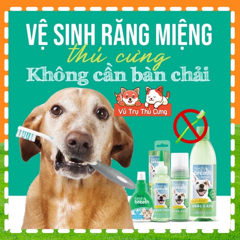 (Hàng Mỹ) Nước xịt vệ sinh răng miệng cho Chó, xịt thơm miệng chó Tropiclean 118ml