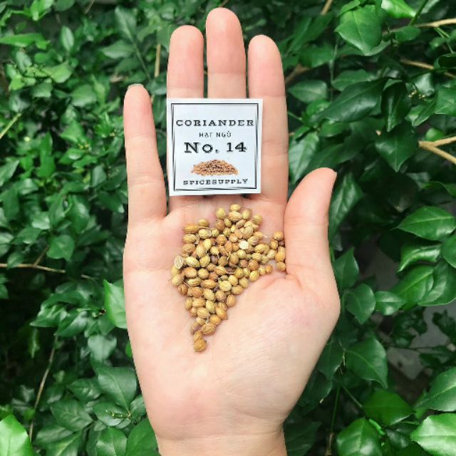 1KG Coriander whole - hạt ngò hạt mùi
