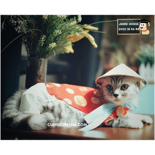 Nón lá đội cho thú cưng