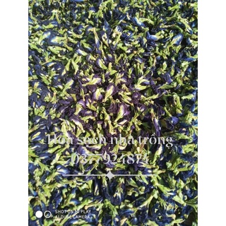 hoa đậu biếc phơi nắng khô giòn cánh kép 100g