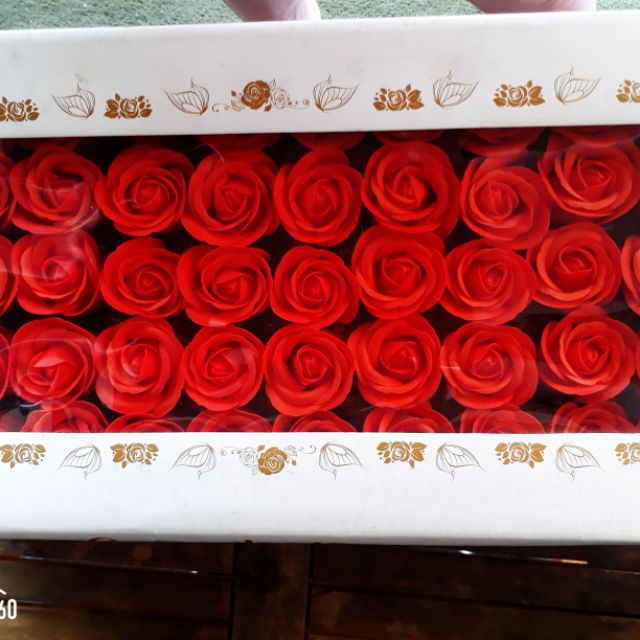 Hoa hồng sáp