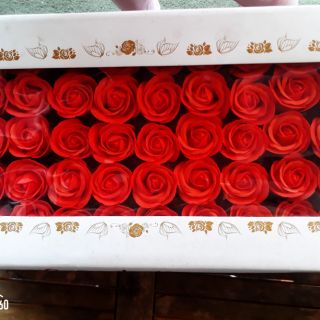 Hoa hồng sáp