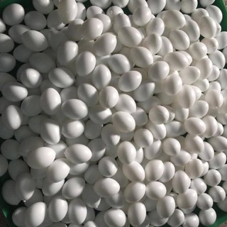 Trứng nước cho bồ câu